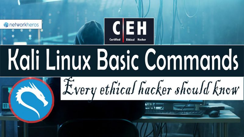Kali Linux Basic Commands every ethical hacker should know (in 2020) | CEHv10 complete from Techmirrors