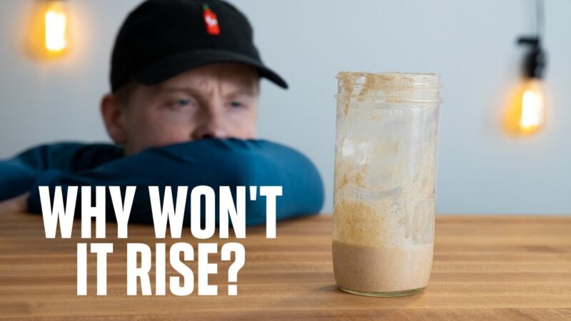 HOW TO FIX YOUR SOURDOUGH STARTER | Troubleshooting common issues  tips of the day #howtofix #technology #today #viral #fix #technique