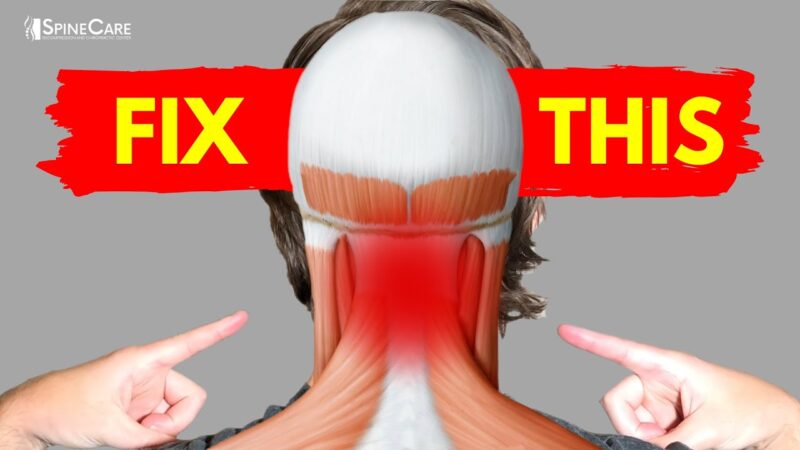 The Best Way to Fix Neck Pain at Home  tips of the day #howtofix #technology #today #viral #fix #technique