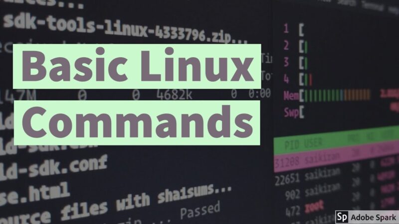 technical solution-Basic Linux Commands Linux command tricks from Techmirrors