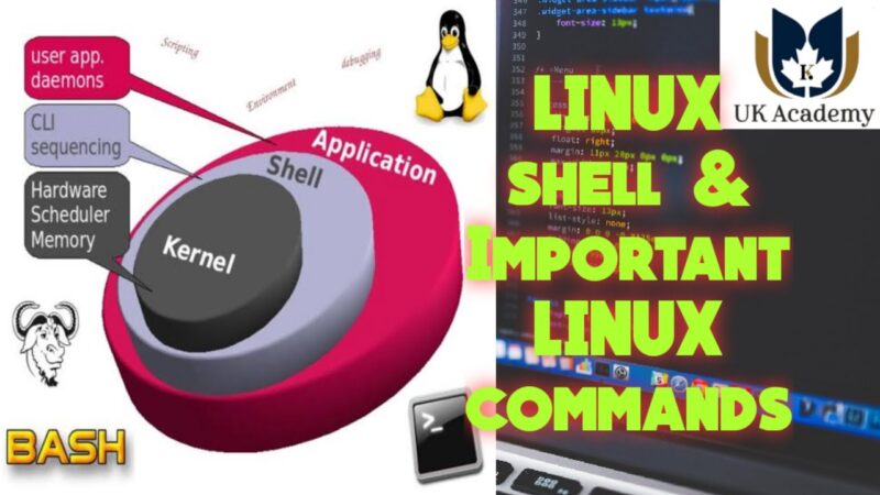 technical solution-LINUX SHELL AND BASIC LINUX COMMANDS Linux command tricks from Techmirrors