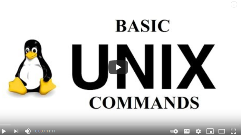 technical solution-Basic Unix Commands unix command tricks from Techmirrors