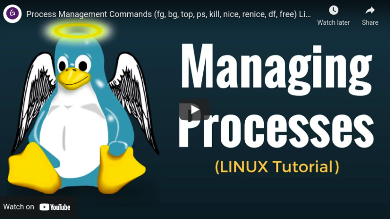 technical solution-Process Management Commands (fg, bg, top, ps, kill, nice, renice, df, free) Linux Tutorial Linux command tricks from Techmirrors