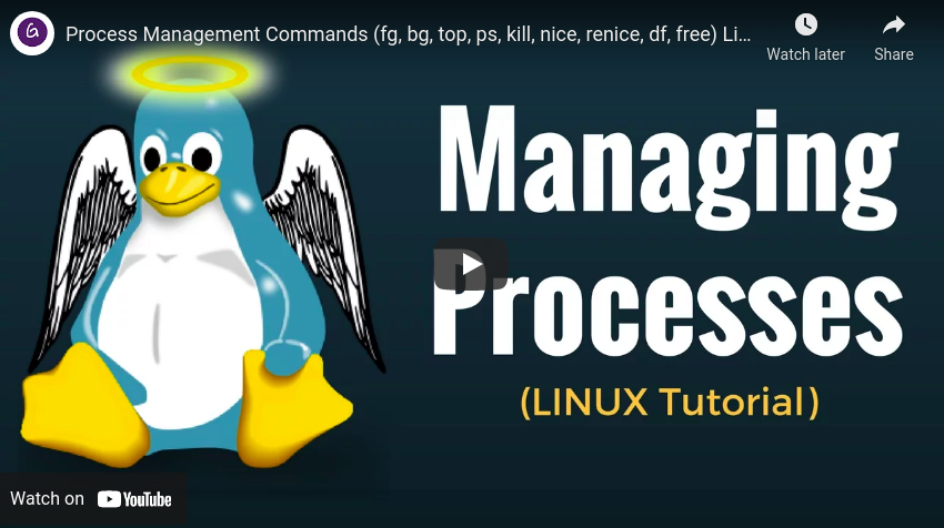 technical solution-Process Management Commands (fg, bg, top, ps, kill, nice, renice, df, free) Linux Tutorial Linux command tricks from Techmirrors